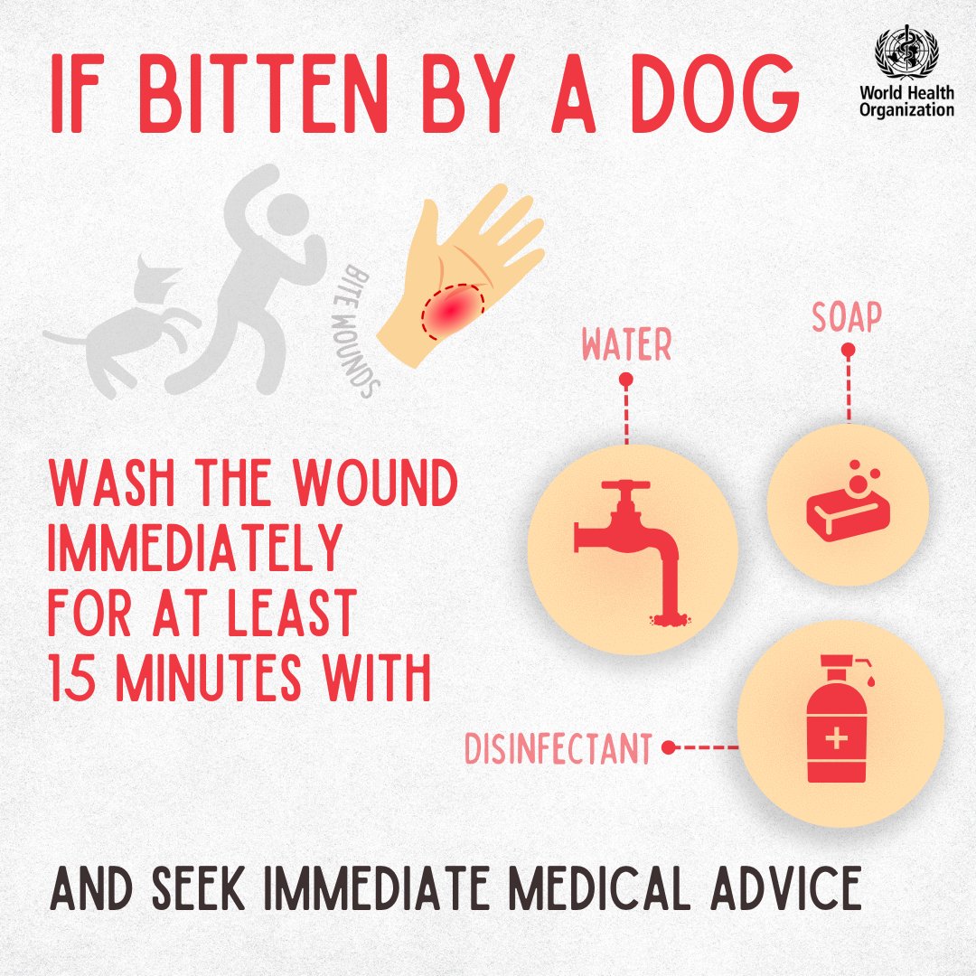 Wound washing saves lives!

If bitten by a dog 🐶, always seek immediate medical advice.

The wound must be immediately and thoroughly washed for at least 15 minutes with soap and water. Then visit a clinic, as you may need #rabies post-exposure vaccination!