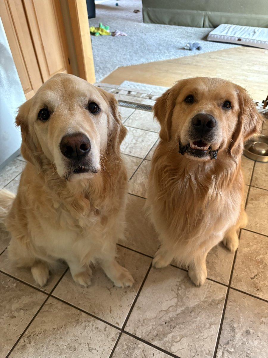 Sup? 
We (well, mom) are back after an exciting (not really) weekend.  What did we miss? 
#lessmurraymorewalter