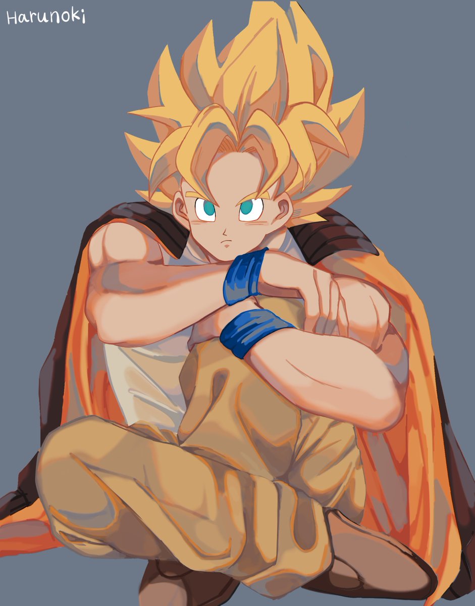 超サイヤ人に私服姿の悟空がDB界で宇宙一好きという話をしたい