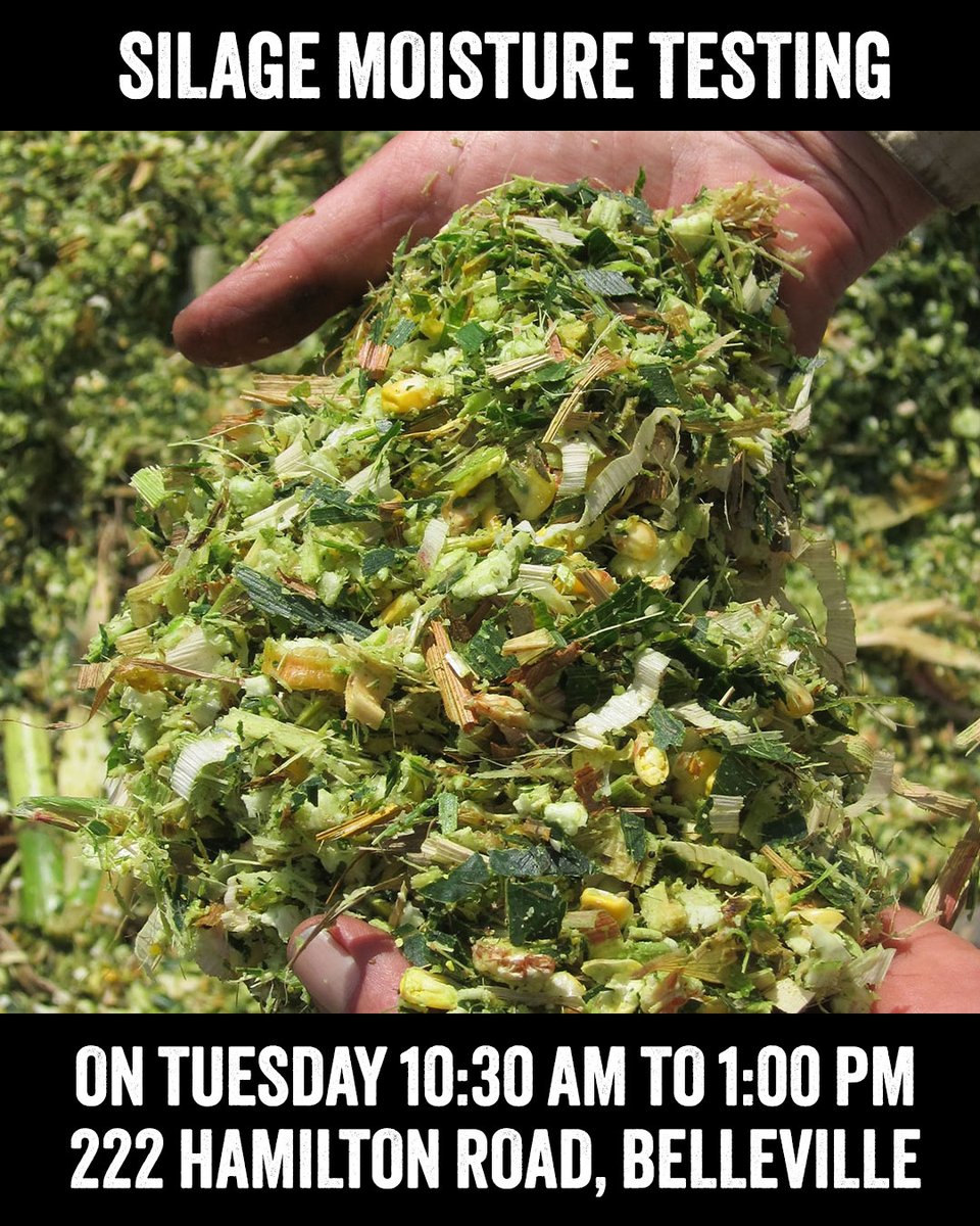 "Farmers, test your corn silage moisture for FREE! Bring samples to County Farm Centre, 222 Hamilton Rd, Belleville, on Tue, Aug 19, 10:30 AM-1 PM. Get a free hot dog! Optimize your harvest—see you there!