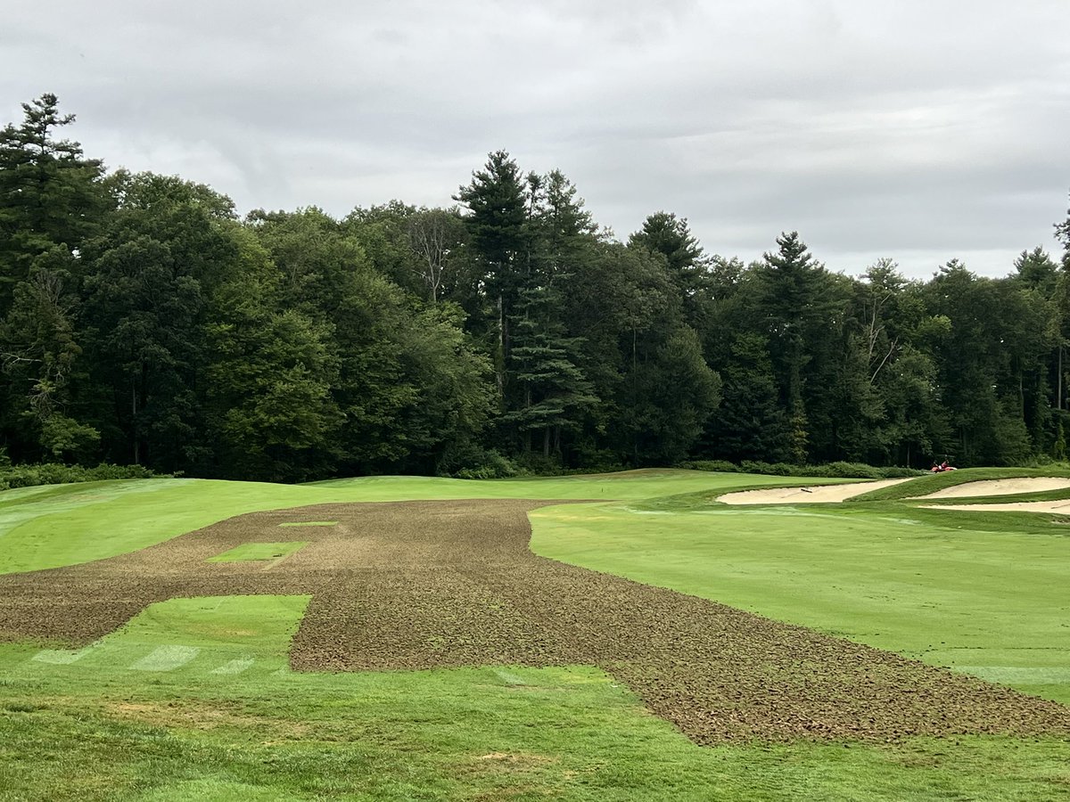 Scott Reynolds tweet media