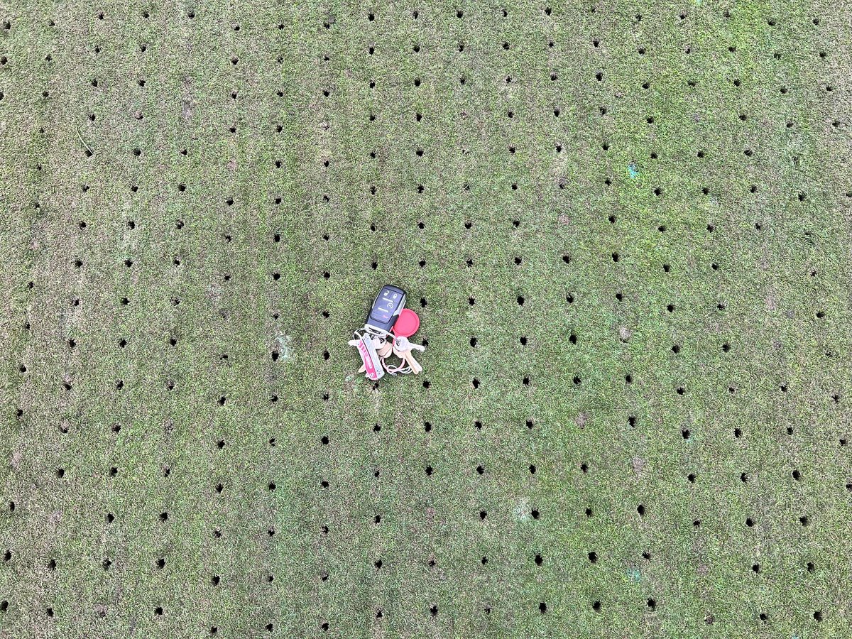 Scott Reynolds tweet media