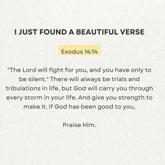 AttyMoonChild's tweet image. 💜