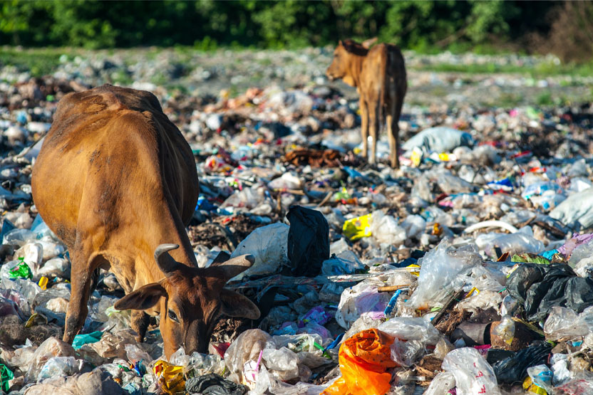 Global Plastic Treaty Talks Collapse in Geneva, Recycling Pushed as Default Solution

#TiredEarth #PlasticsTreaty 
🔗tiredearth.com/news/global-pl…