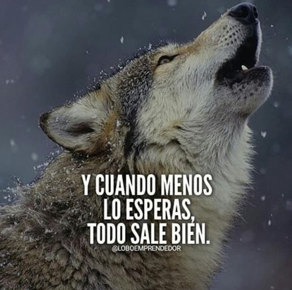 LealtadSabia's tweet photo. https://t.co/Bywya4BLlo