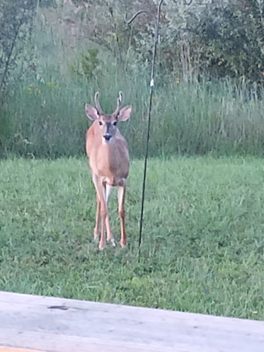 Always remember and take time to enjoy our world there are beautiful things