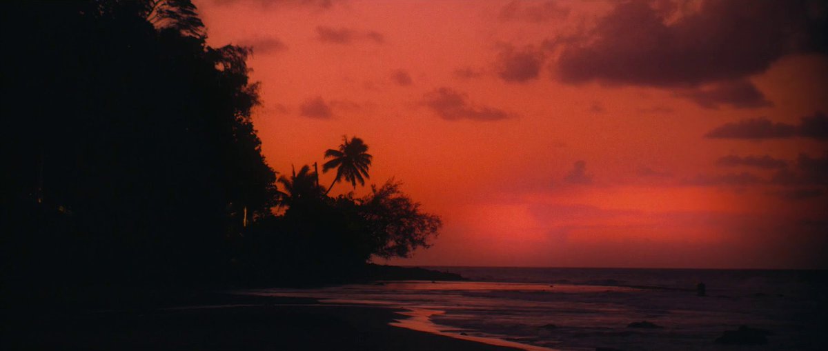 Pacifiction (2022)
Dir : Albert Serra 

Oui j’ai pris la claque dans ma gueule en effet