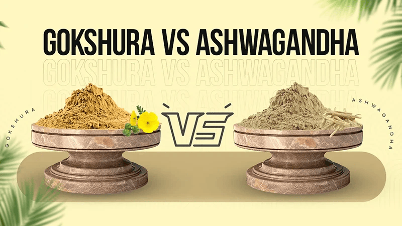 ayurveda_ncare's tweet photo. Gokshura or Ashwagandha: Which Should You Choose?
Both herbs are staples in Ayurvedic medicine—but they serve different purposes. Know more: https://t.co/ZPrM9H5h4W

#gokshura #ashwagandha #herbs #health https://t.co/dgQSgRKxR4