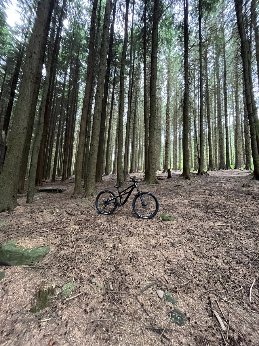 Julian Jones (@julianj80289895) on Twitter photo Morning up the local on my own! ❤️…. A lot less effort than keeping up with the ebike boys 😅…
<a href="/Absolutemtb1/">Absolutemtb</a>
<a href="/UKMTB_Chat/">UKMTB_Chat</a>
#walesneverfails 🏴 🏴 ✌️ Morning up the local on my own! ❤️…. A lot less effort than keeping up with the ebike boys 😅…
<a href="/Absolutemtb1/">Absolutemtb</a>
<a href="/UKMTB_Chat/">UKMTB_Chat</a>
#walesneverfails 🏴 🏴 ✌️