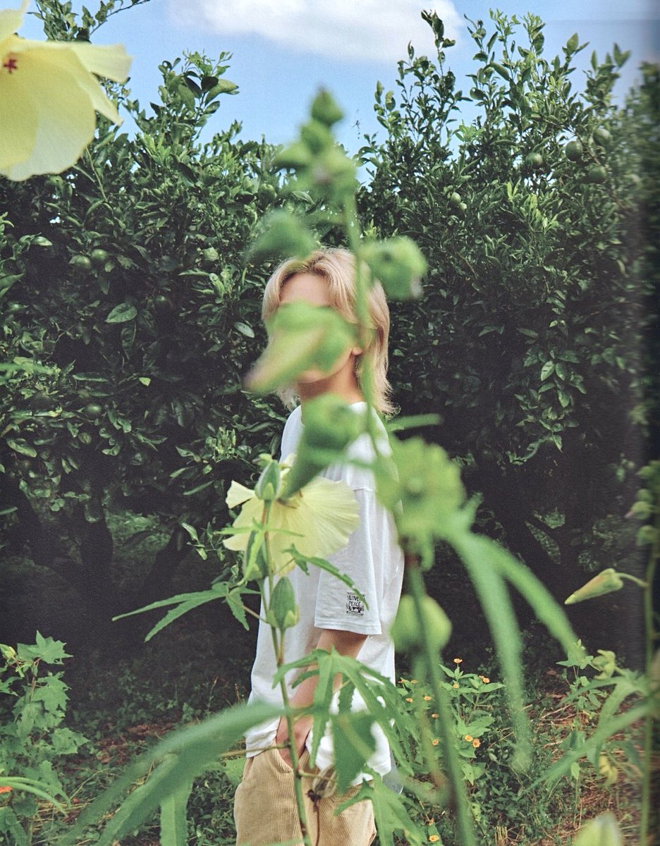 DearHani2's tweet photo. 🧚🏻 https://t.co/3bzVKsRkN7