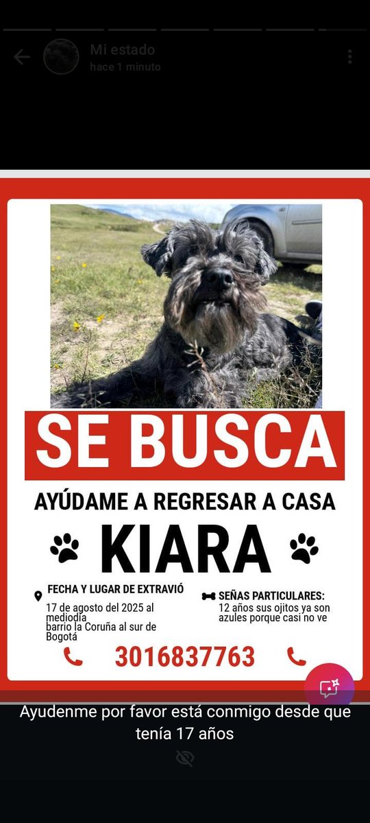 DavichoFab65859's tweet photo. Hola, mi perro de perdió el día de ayer en la ciudad de Bogotá, agradezco compartir esta información para que llegue a las personas correctas #perros #perdidos #bogota #perrosperdidos https://t.co/FcYBH0RjZk
