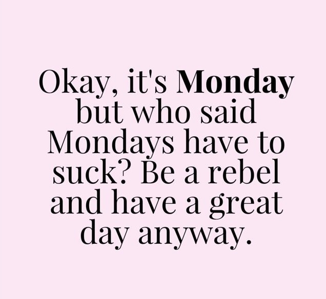 Good morning ☕️

I hope you have a great start to the week. May your coffee be stronger than anything today has to throw your way 🤍🤗