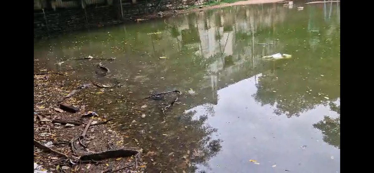 Ultimate DIY tweet media