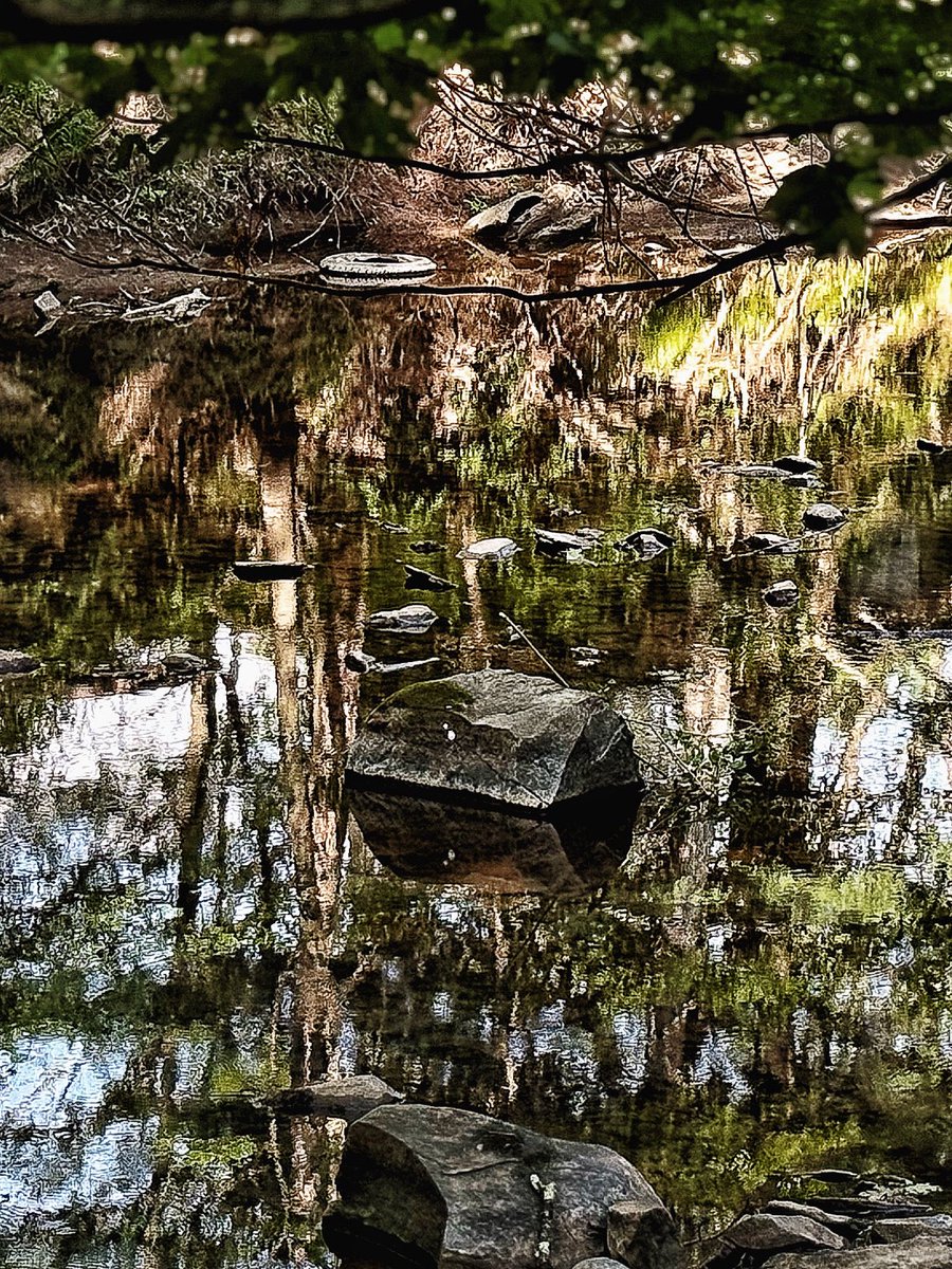 timvarian's tweet photo. #kaaterskillfalls #catskills #catskillsmountains #UpstateNY #NaturePhotography #NatureLovers #WaterSigns #Reflection #summerbeauty #HEALING #photooftheday #NewYorkForever #newyorkstateofmind #newyorkphotography https://t.co/E1dTTGXZk0