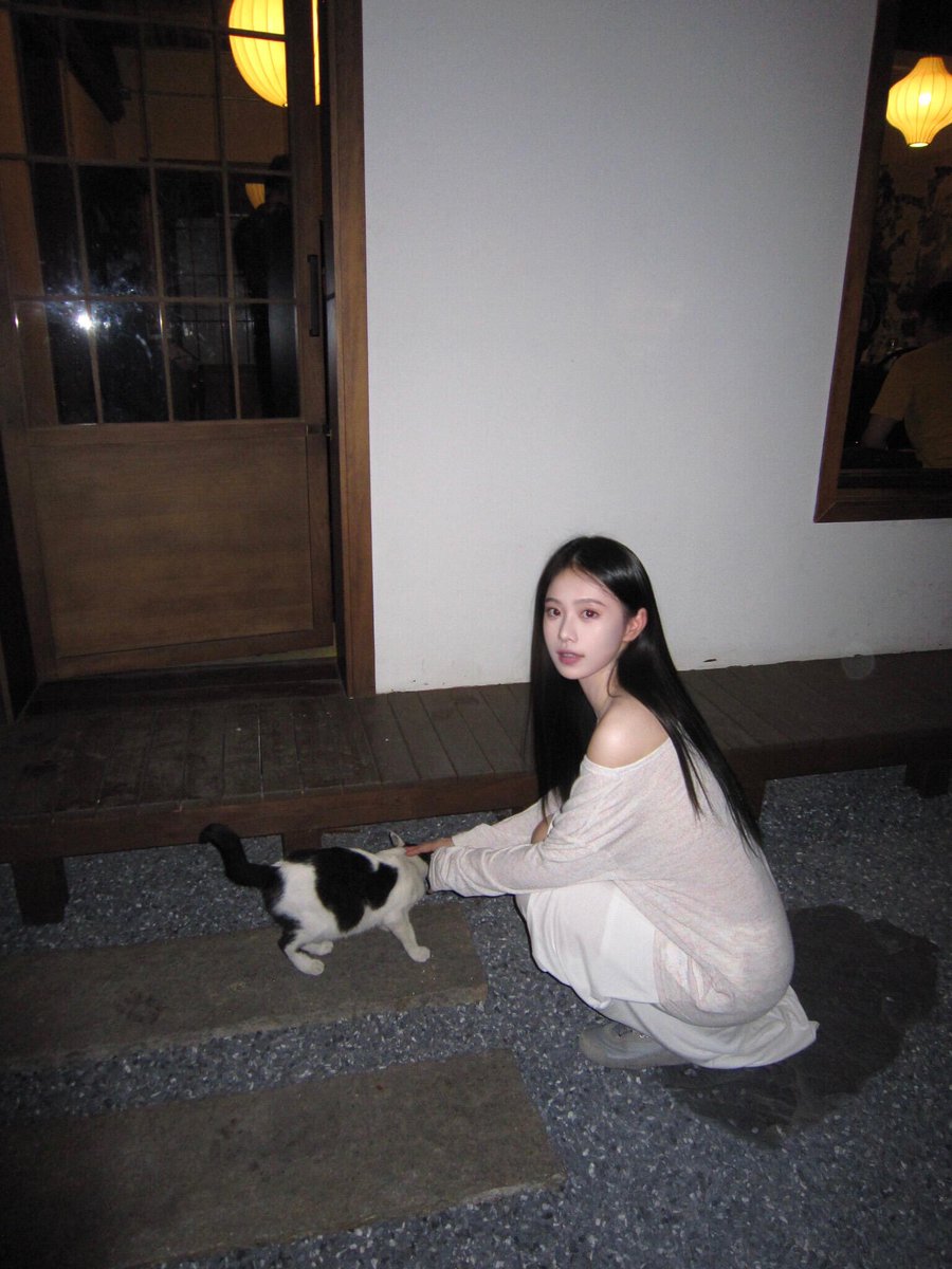 The cat in the teahouse🐈
#cat