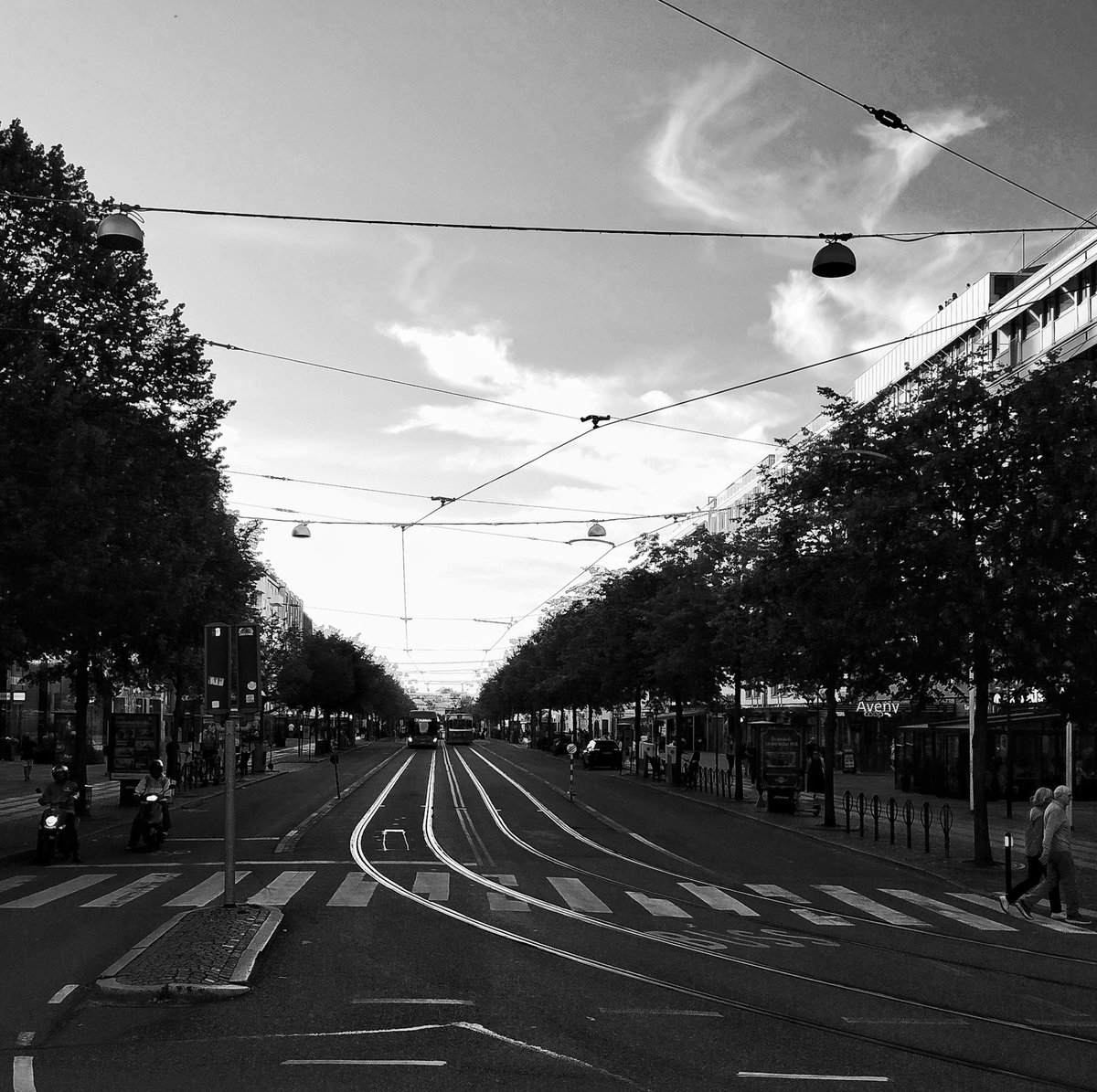 anthonyhunter69's tweet photo. #tramtracks 🙂
#skyline #hmdskyline @Nokia @NokiaMobile @HMDdevices #shotonhmd #shotonskyline #BW @teampureview @NokiamobBlog #nokia #photography #phoneography #shotonnokia #nokiamobile #summer #göteborg https://t.co/wjYI2B987e