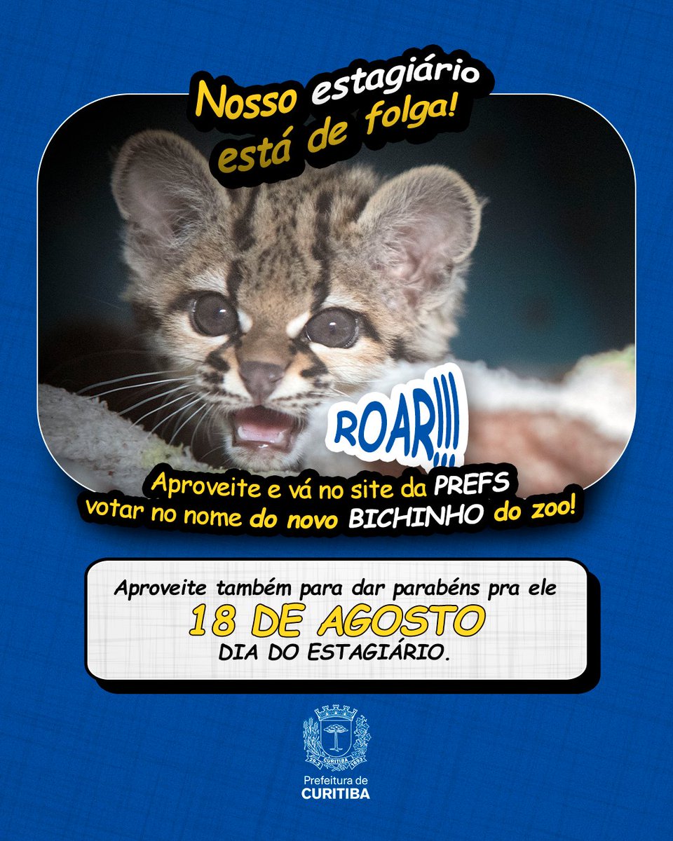 Dia de celebrar quem sempre dá uma força: os estagiários! 🙌🥳

18 de agosto é o Dia do Estagiário e aproveitamos a data para mandar um parabéns especial pra todos aqueles que estão aprendendo e ajudando a construir uma Curitiba cada vez melhor. 💚