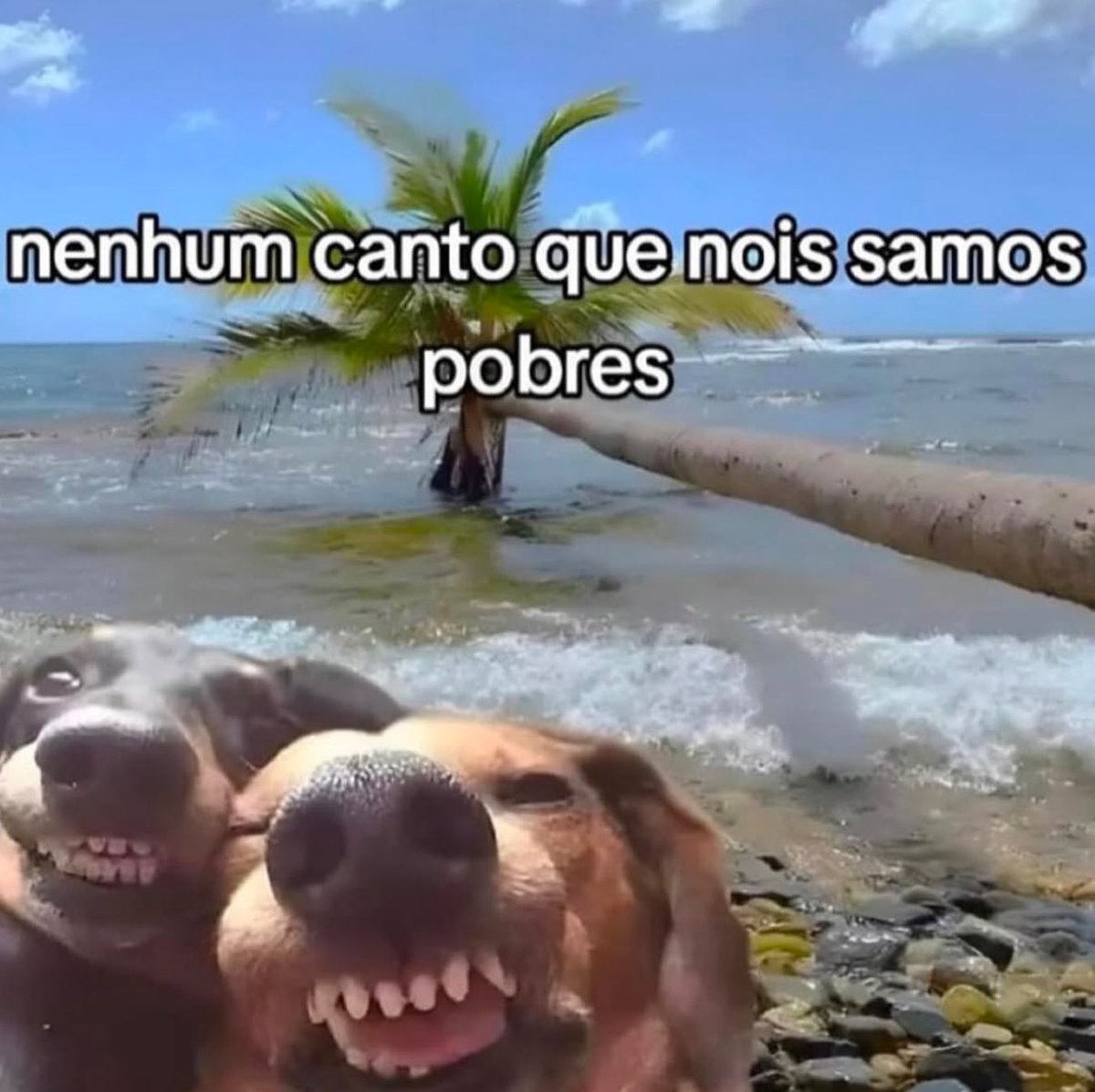 olha a gente aqui 😂😂