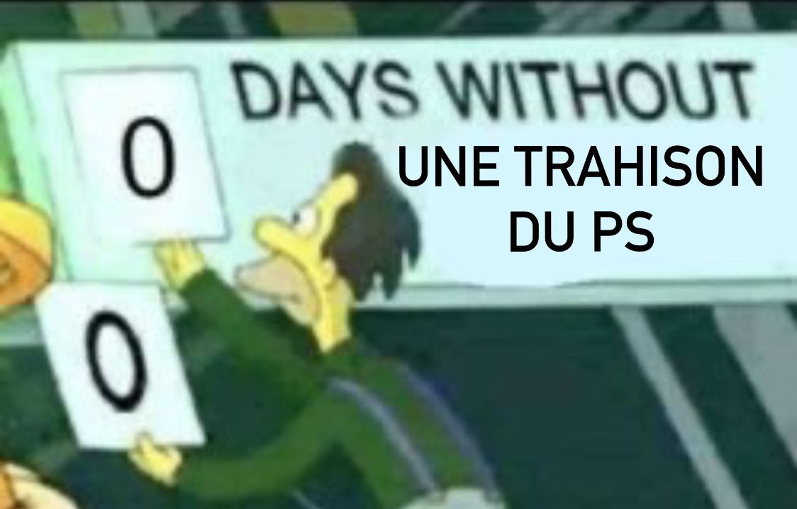 Tournesol en viande tweet media