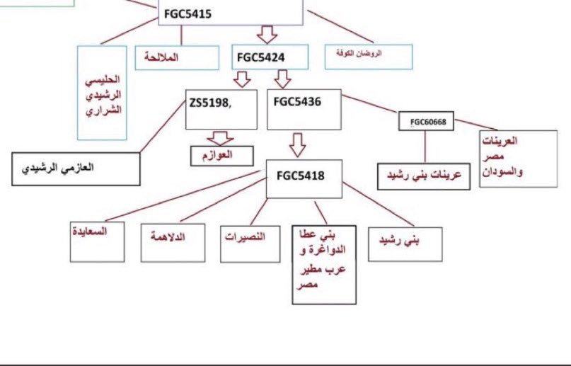 بني عبس الرشايدة الكرام 🤍
 اولياء امور #FGC5427  ⚔️
وهم محددين هوية التحور 
وجميع التحورات اسفله دون ادنى جدال. 

لن يستطيع تقبل حقيقة هذا الواقع إلا شخص
عاقل + صادق + اصيل 💯