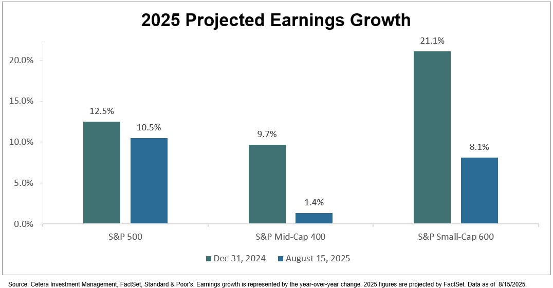 S&amp;P 500 projected earnings growth for 2025 remains positive, but expectations have dipped from 12.5% at the start of the year to 10.5% per <a href="/FactSet/">FactSet</a>. The fall has been even steeper for S&amp;P Mid-Cap 400 (9.7% to 1.4%) and S&amp;P Small-Cap 600 (21.1% to 8.1%).