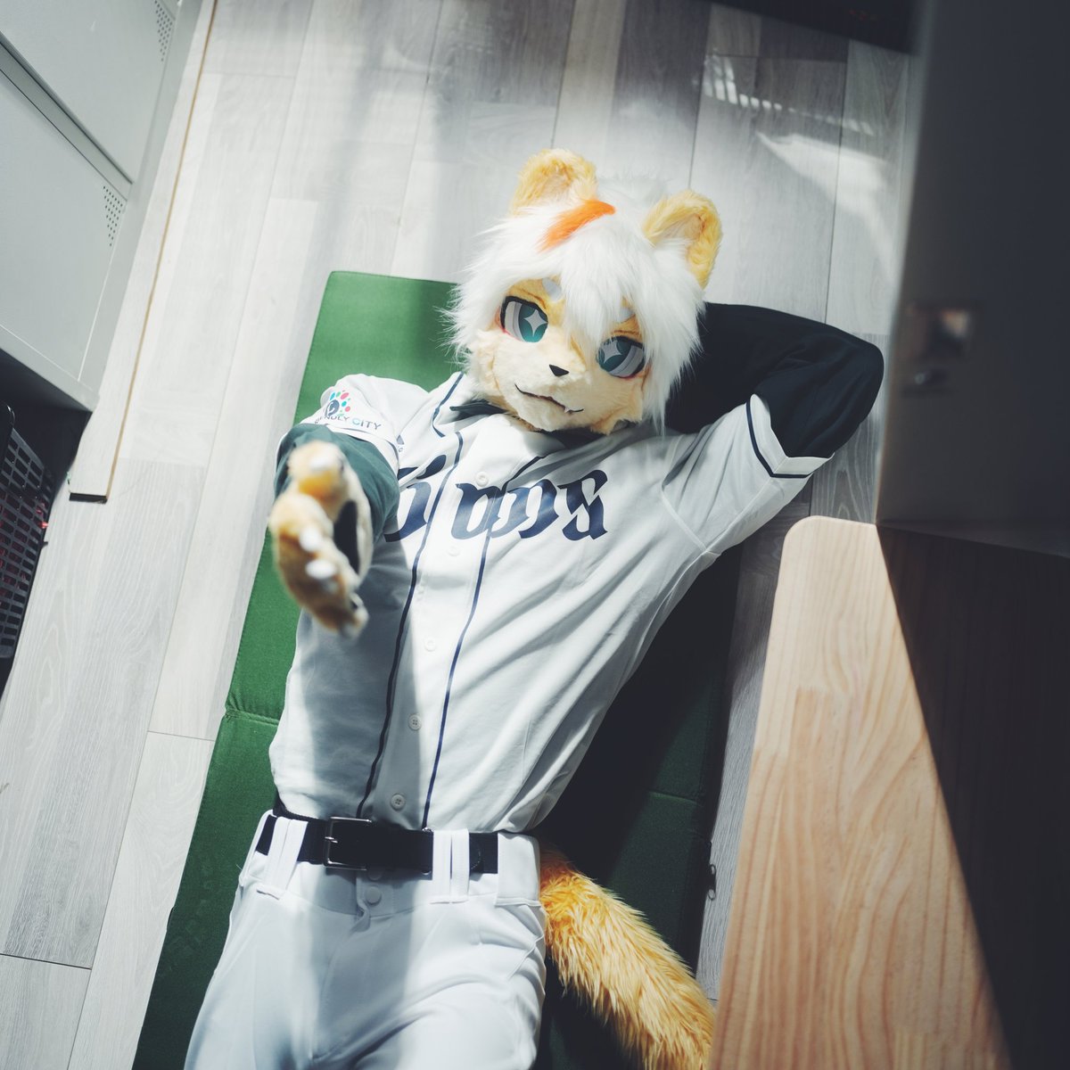 Ariel 🦁🔜関けも (@weeklyariel) on Twitter photo 