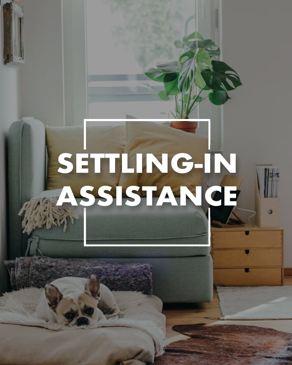 IOSRelocations's tweet image. From finding the right neighbourhood and navigating utilities, to helping with local registrations and everyday essentials — we make sure your transition is smooth
☎️ +91 91521 22888
📧 info@iosrelocations.com
🌍 iosrelocations.com
#RelocationIs #SettlingIn #IOSRelocations