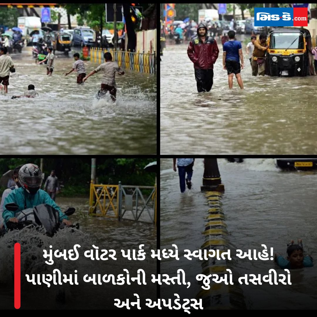 middaygujarati's tweet image. મુંબઈ વૉટર પાર્ક મધ્યે સ્વાગત આહે! પાણીમાં બાળકોની મસ્તી, જુઓ તસવીરો અને અપડેટ્સ

#mumbaicity #waterparkfun #kidsplay #sᴜᴍᴍᴇʀᴠɪʙᴇs #mumbainews #familyfunday #cityupdate #breakingnews #middaygujarati #middaynews

gujaratimidday.com/news/mumbai-ne…