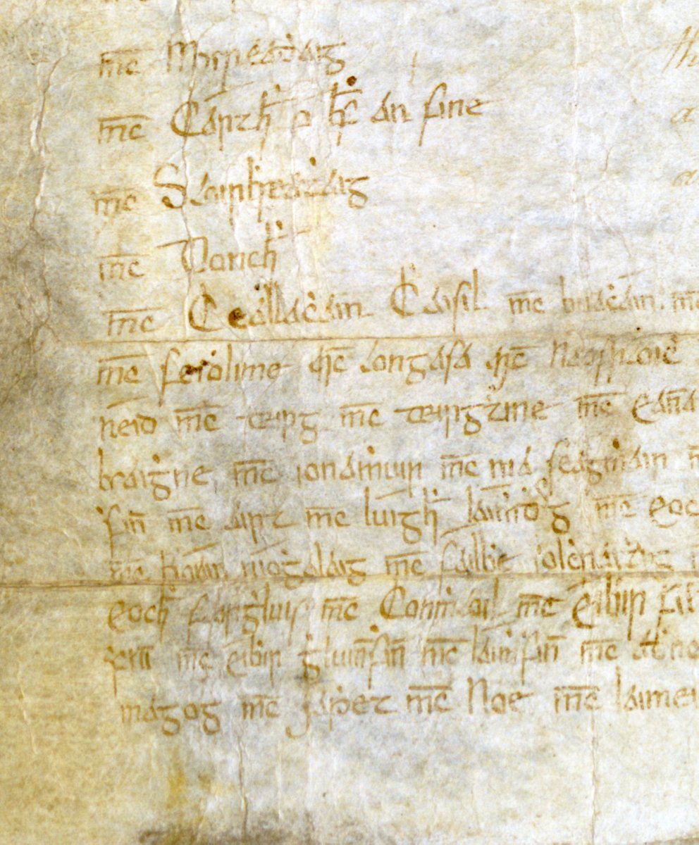 Cork City and County Archives Service tweet media