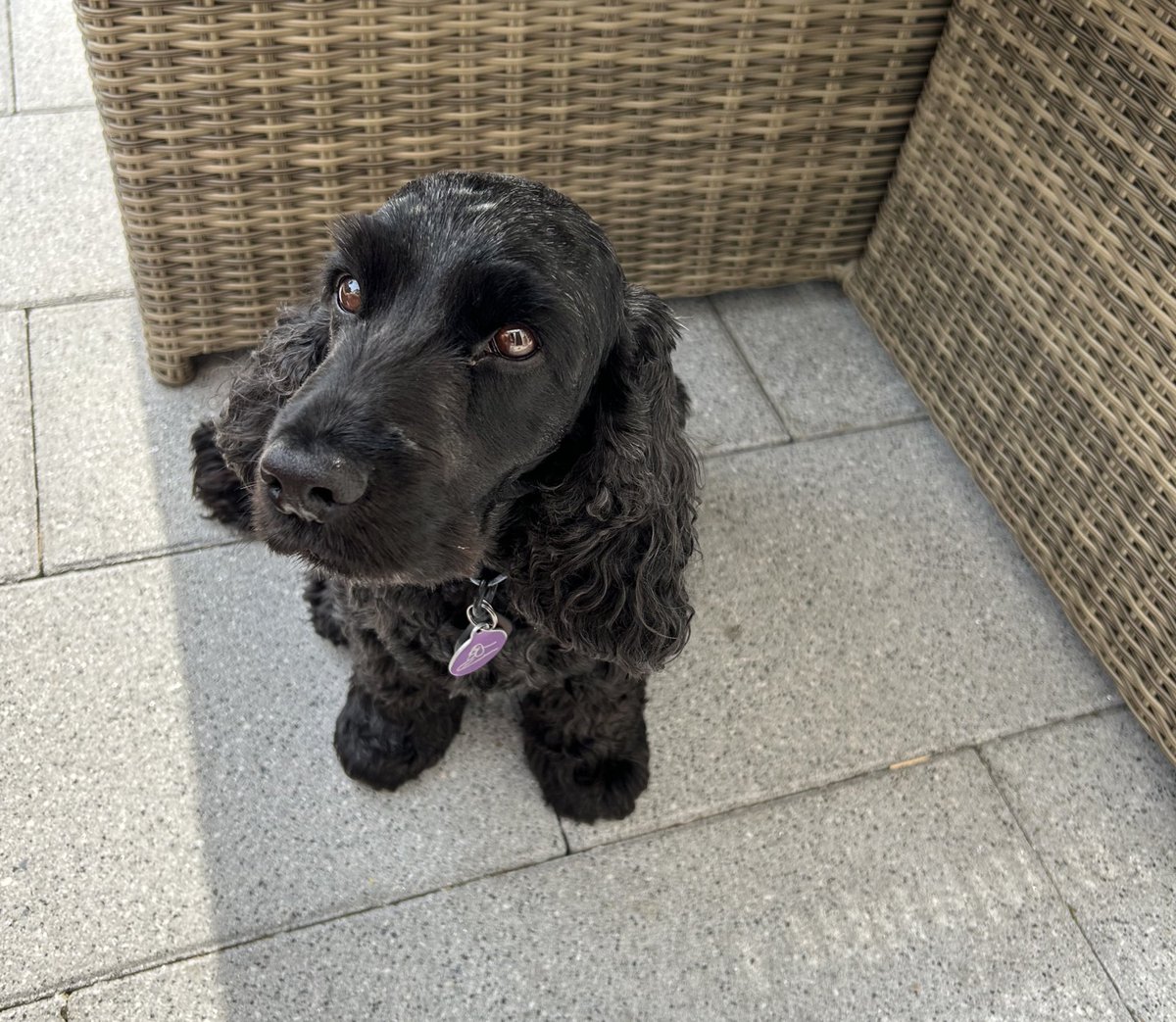 ByrneCocker's tweet photo. I don’t care what you say mum I smell bacon.
#truthisout https://t.co/fVEegjBKER