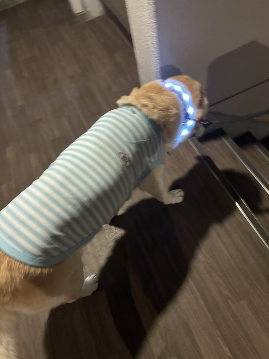 __kho_u's tweet image. パジャマみたいで可愛い