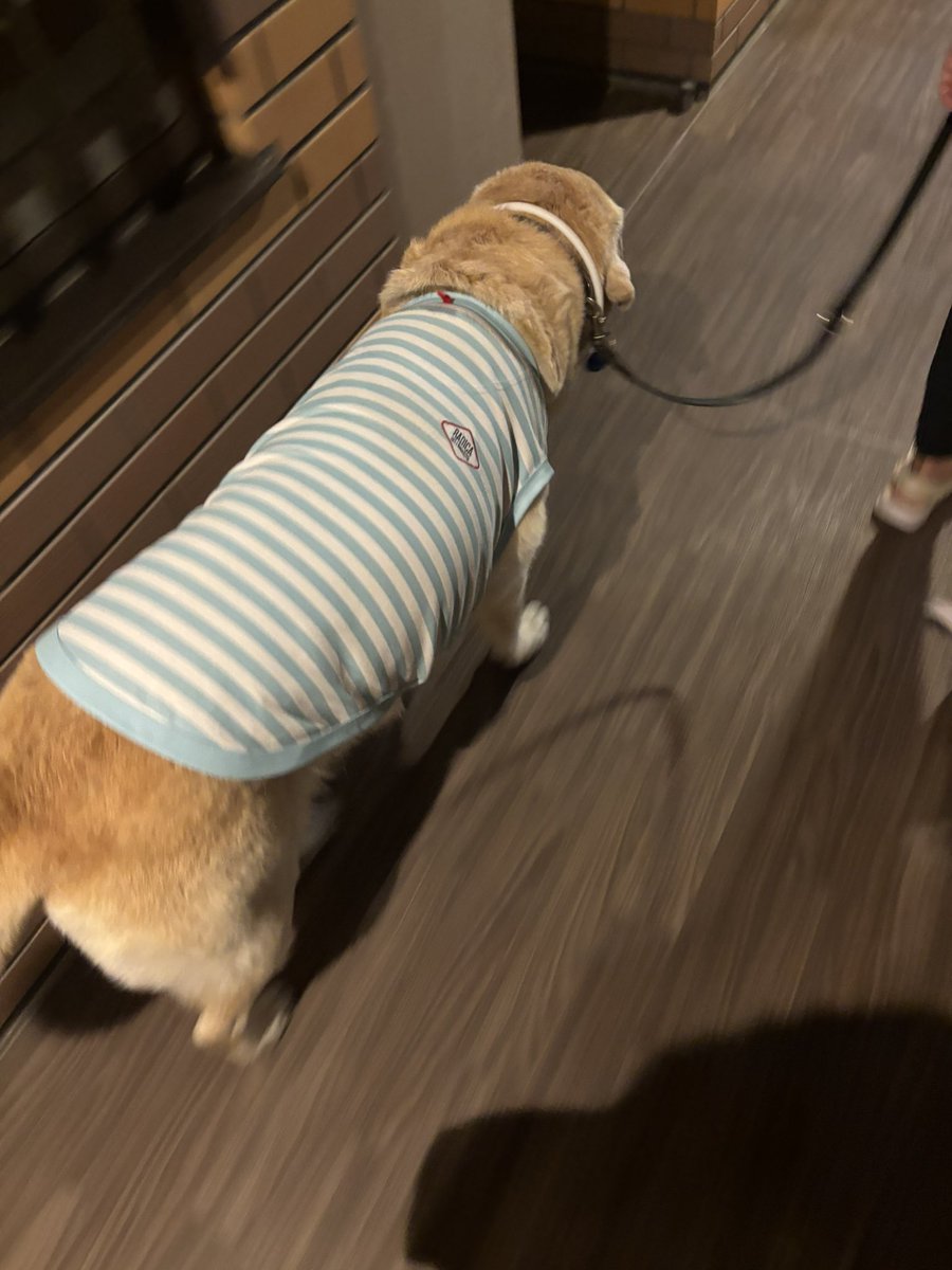 __kho_u's tweet image. パジャマみたいで可愛い