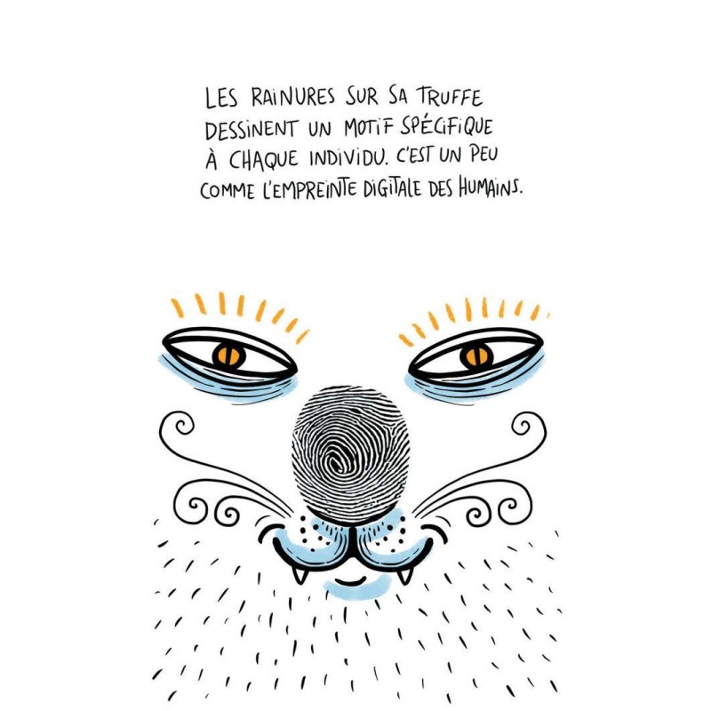 Vous êtes plus chat que chien ? Alors J'adore mon chat (mais il s'en fout) est pour vous !

Apprenez plein de choses sur les chats et c'est drôle

librairie.lapin.org/fr/autres-edit…