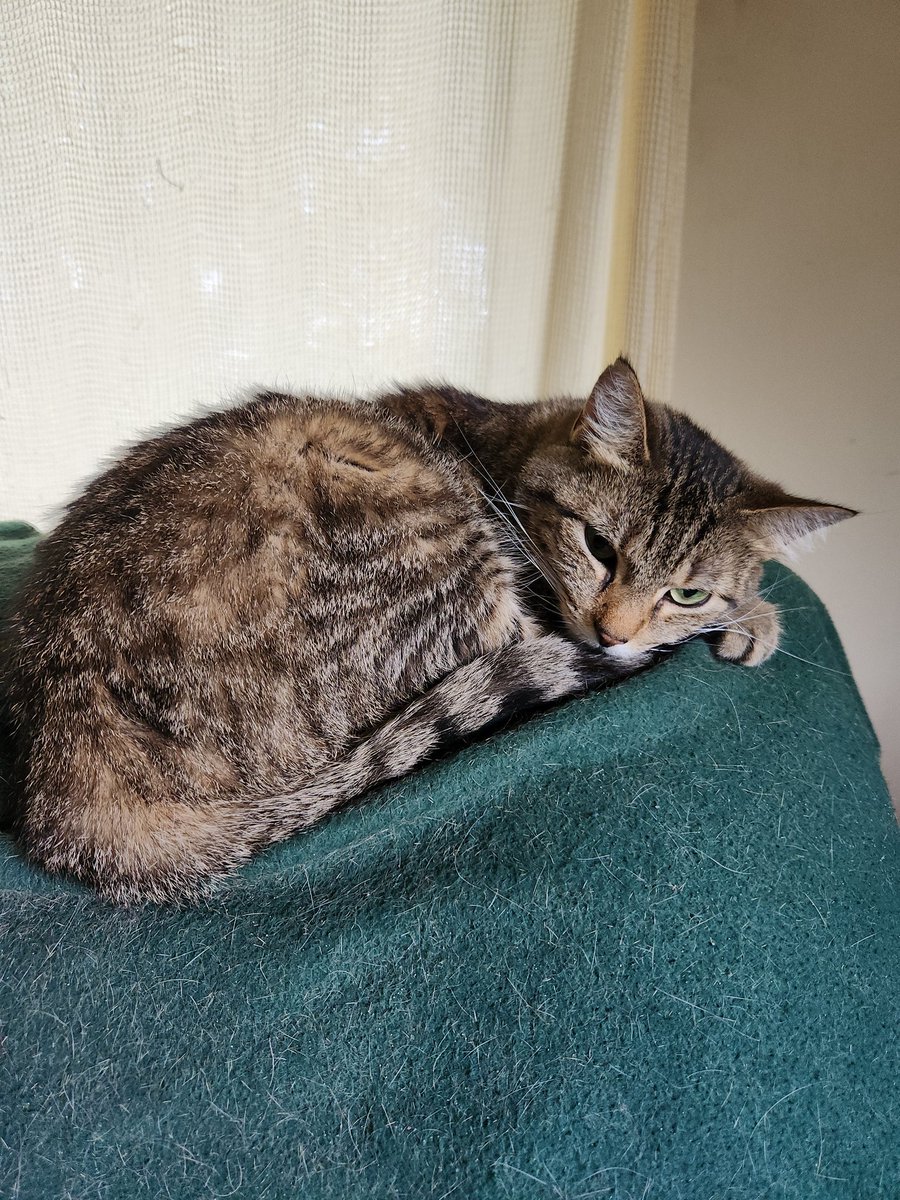 #MondayVibes me right now because I'm at work 😒