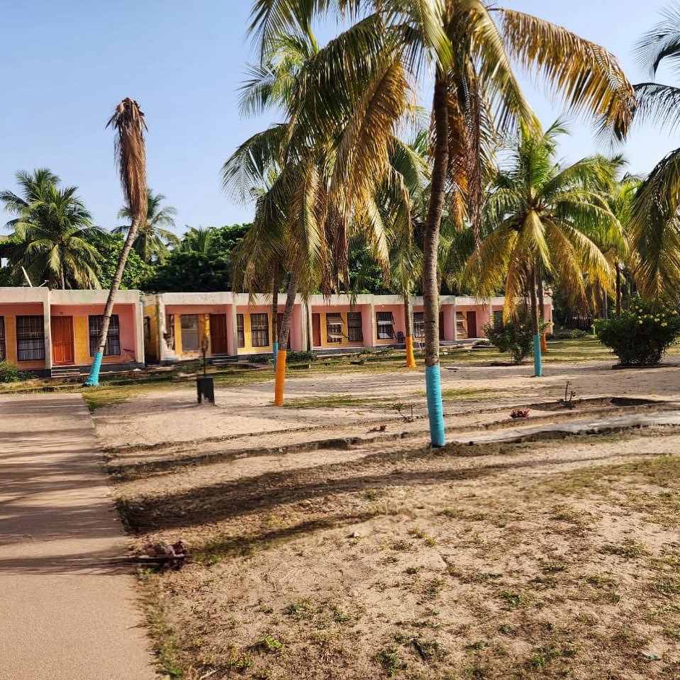 Whispnpalms's tweet photo. Colours and Nature OR Colours of Nature? You can have it all at Whispering Palms.

Visit https://t.co/RYG8vHGuLj today to book your stay. You can also chat with us on WhatsApp via +234 906 357 3686 for more details and day visits.

#whisperingpalms #unwindwithus #VacationVibes https://t.co/HPmrR4ngfj