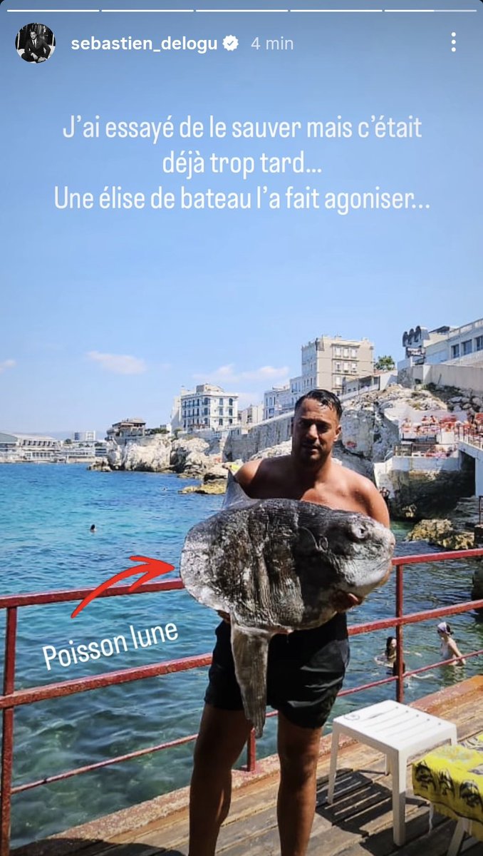 L'illetré à Élise.