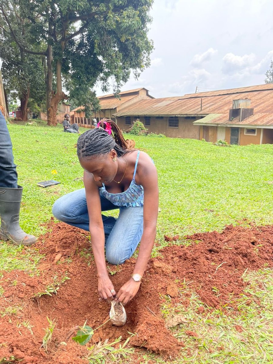 Rotaract_MUK's tweet photo. On the 16th August 2025, our members engaged in a tree planting project called #Rock4Earth in partnership with Rotaract club of Kampala central.

We planted over 100 trees around Makerere University and each tree was named, given a tracker and caretaker

#ItsTimeToJoinRotaract https://t.co/eZde6d1mcq