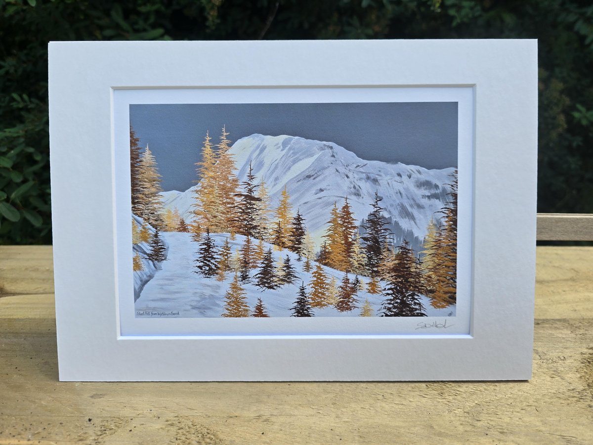 sammartinart's tweet photo. So many of you have told me how much you loved 'Steel Fell from Wythburn', so I've released it as an open edition print. You can find it over on my website π©Ά
https://t.co/d1SjMLPZyX
#steelfell #wythburn #grasmere #helvellyn #lakedistrict #fells #art #paintings #cumbria https://t.co/QwN8eI5E0P