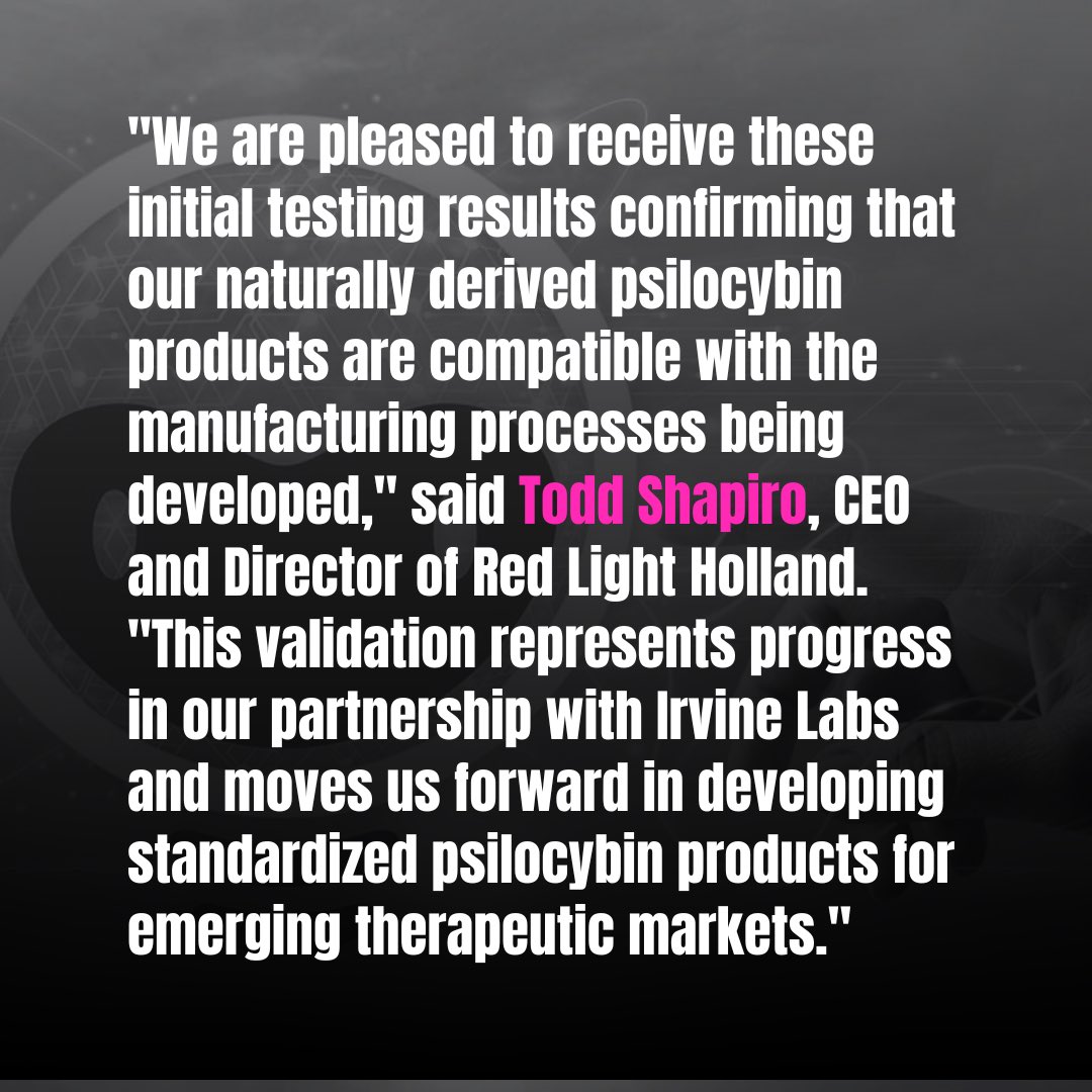 Red Light Holland tweet media