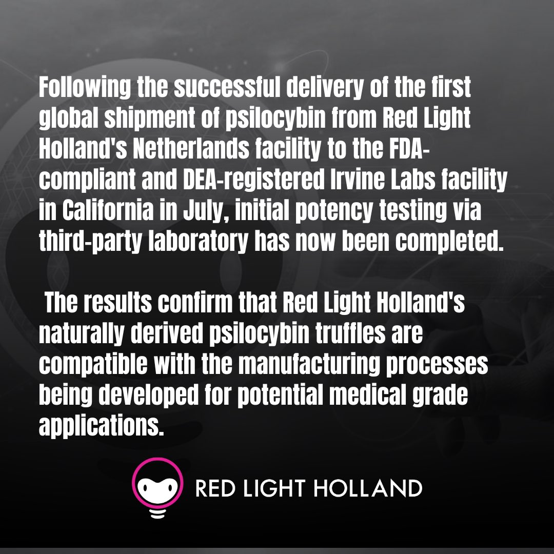 Red Light Holland tweet media