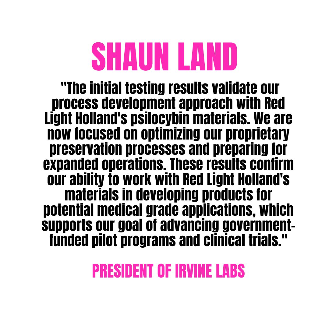 Red Light Holland tweet media