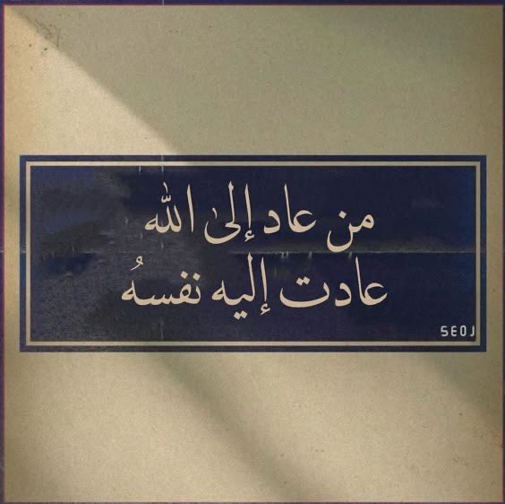 . tweet media
