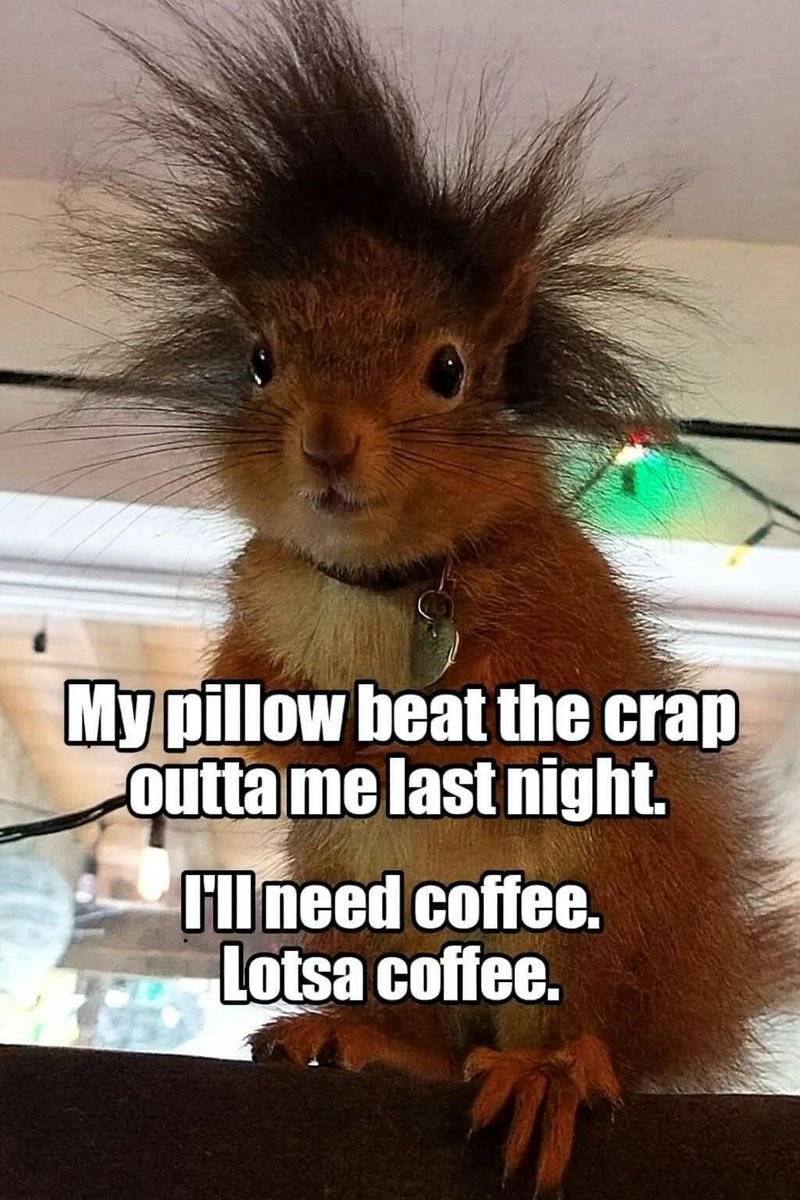 🦋DevineAngel_22💫😇 (@devineangel22) on Twitter photo Good morning beautiful souls 🤗 this 👇 😉😜🤣🤣🤣 I'll need a few pots of coffee ☕ today 😉 😋 🤣 Have a great Monday all 🙏❤🥰🦅🇺🇲💖🦋☕☕☕☕☕☕☕☕☕☕ Good morning beautiful souls 🤗 this 👇 😉😜🤣🤣🤣 I'll need a few pots of coffee ☕ today 😉 😋 🤣 Have a great Monday all 🙏❤🥰🦅🇺🇲💖🦋☕☕☕☕☕☕☕☕☕☕