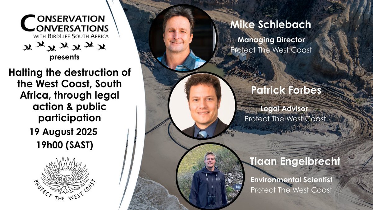 BirdLife South Africa 🇿🇦 tweet media