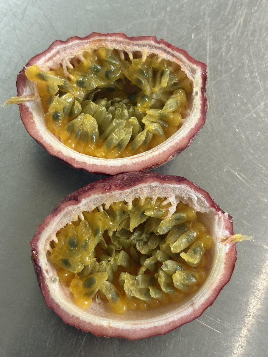 パッション(*ﾟ∀ﾟ*)
甘くて美味しい〜
*･゜ﾟ･*:.｡..｡.:*･'(*ﾟ▽ﾟ*)'･*:.｡. .｡.:*･゜ﾟ･*