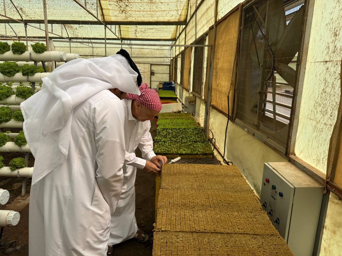 News_Almadinah's tweet photo. المزرعة النموذجية للزراعة المائية في منطقة #المدينة_المنورة تحقق إنتاجًا تجاوز 2 مليون كيلوجرام من المحاصيل الزراعية المتنوعة، على مساحة تقدر بـ(183) ألف متر مربع، تضم (20) صالة زراعية مكيفة، بما يوفر بيئة مثالية تحافظ على جودة وسلامة الإنتاج. https://t.co/Y94zbVKueF
