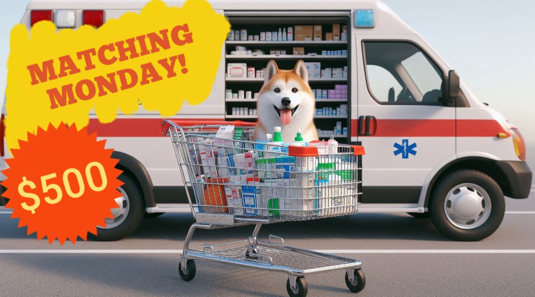 🔥$500 MATCHING FUNDS!🔥

BOGO TIME Y'ALL! Now $5=🎟️🎟️ thanks to some generous supporters! 

Help <a href="/rima_medUA/">Rima Med 🇺🇸🇱🇹🇺🇦</a> save lives by equipping her with the medications and supplies she needs to get the job done! Fellas LET'S GOOOOOOOOOO! 🥳🥳🥳