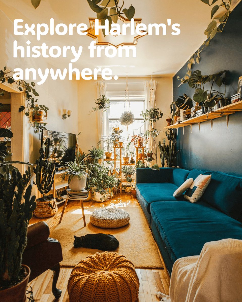 Do you think you know Harlem? 🗽 Embark on a time-traveling adventure with Maya and King right from your living room! Uncover the captivating stories that have shaped the essence of Harlem. 🌍