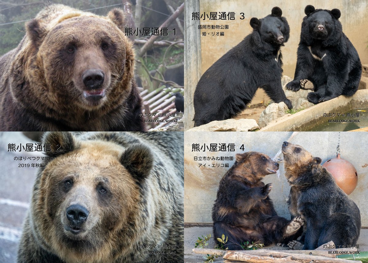 のぶクマ🐻羆と香辛料 (@kumar0001) / X