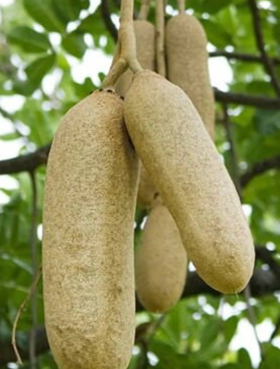 Update🚨: Bro, a lot of positive feedbacks with No reported side effects🍀❤️